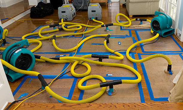 Professional Burst Pipe Water Damage technician working in Shelbyville, MI